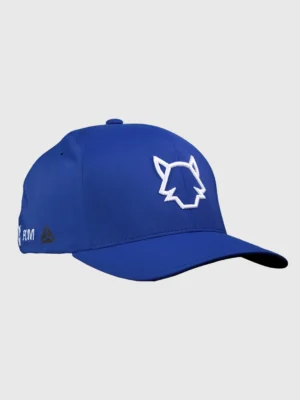 Gorro azul Flexfit Delta108A